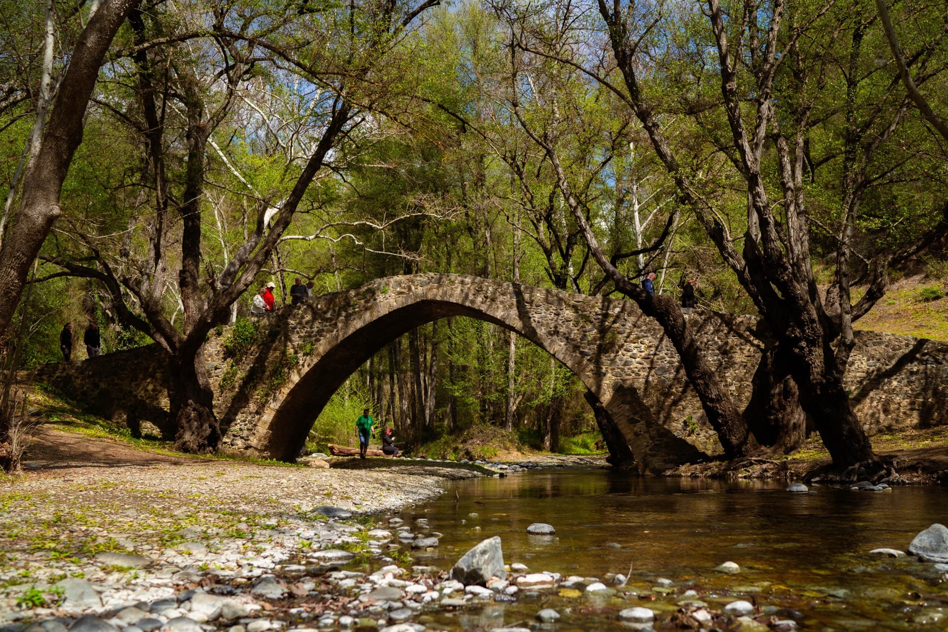 Troodos Day Tour — Cyprus jeep safari from Paphos